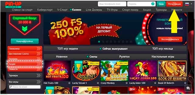 pin up casino личный кабинет Отчет: статистика и факты