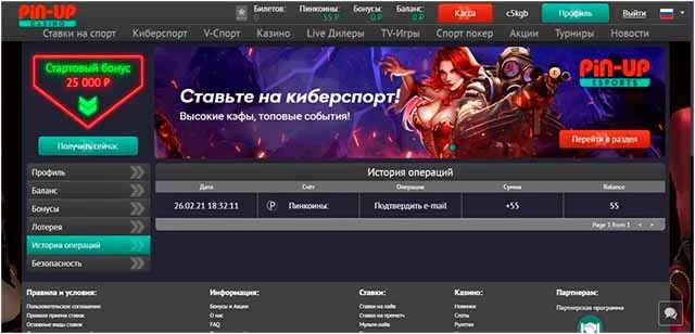 10 смешных pin up casino online цитат Что вы можете узнать у Билла Гейтса о pin up casino online